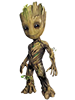 Groot